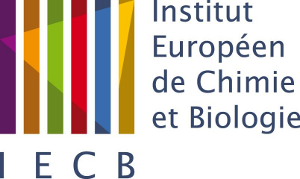 logo IECB