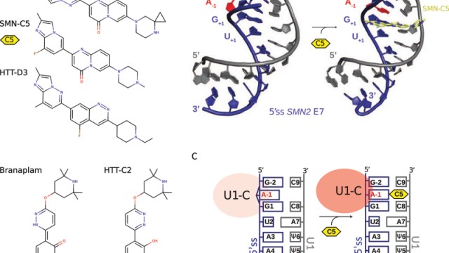 Image Principles and correction of 5’-splice site selection