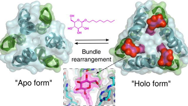 Image Adaptive Binding of Alkyl Glycosides by Nonpeptidic Helix Bundles in Water: Toward Artificial Glycolipid Binding Proteins