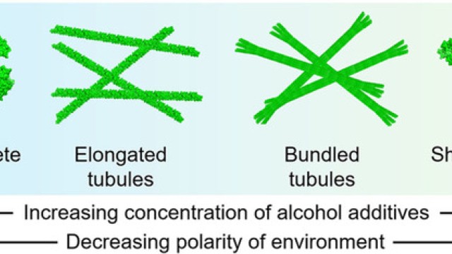 Image Formation and Modulation of Nanotubular Assemblies of Oligourea Foldamers in Aqueous Conditions using Alcohol Additives