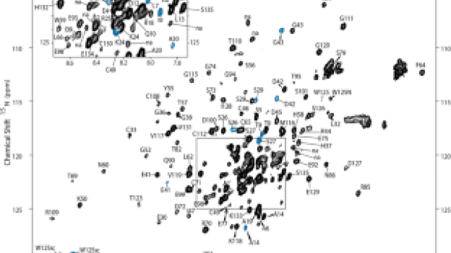 Image 1 H, 13 C, 15 N NMR Resonance Assignments and Secondary Structure Determination of the Extra-Cellular Domain from the Human Proapoptotic TRAIL-R2 Death Receptor 5 (DR5-ECD)