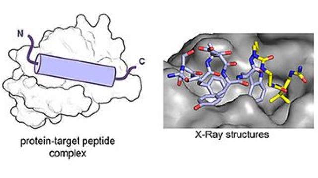 Image Structural Basis for α‐Helix Mimicry and Inhibition of Protein–Protein Interactions with Oligourea Foldamers