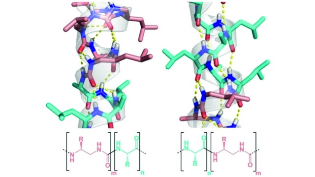 Image Short Oligourea Foldamers as N‐ or C‐Caps for Promoting α‐Helix Formation in Water