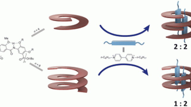 Image Hollow helices as high-affinity hosts: Single and double helical pseudofoldaxanes