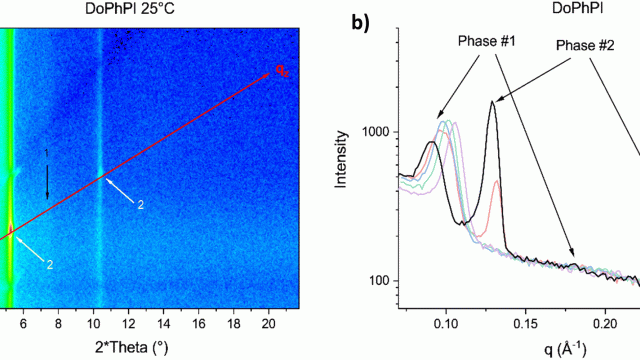 Image Membrane plasticity induced by <i>myo</i>-inositol derived archaeal lipids: chemical synthesis and biophysical characterization