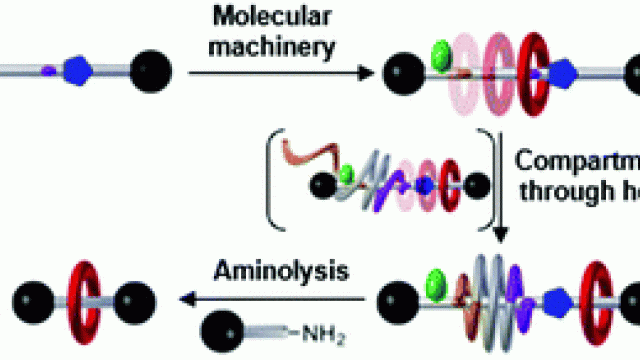 Image [3]Foldarotaxane-mediated synthesis of an improbable [2]rotaxane