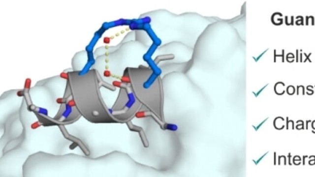 Image Guanidinium‐Stapled Helical Peptides for Targeting Protein‐Protein Interactions
