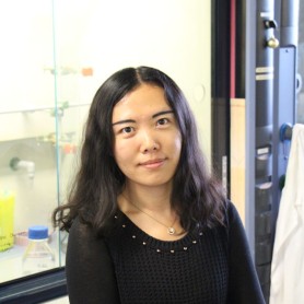 Picture of QI Chenxiao