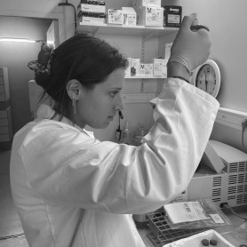 Picture of CAMOIN Lou