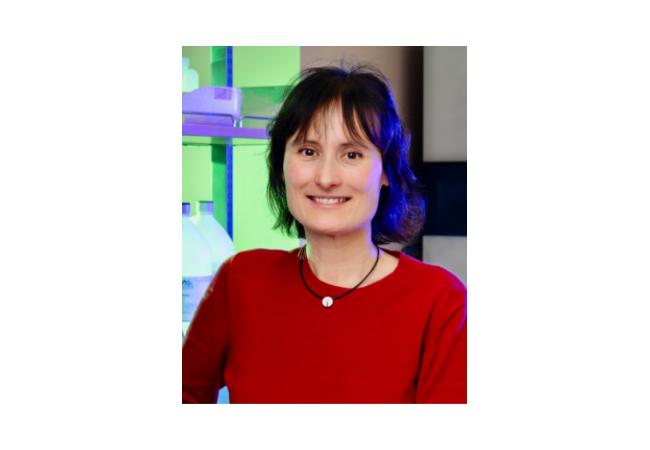 Séminaire IECB du Prof. Nicola Pohl, Associate Dean of Natural and Mathematical Sciences, Indiana University Bloomington, USA, Mercredi 29 novembre à 11h.