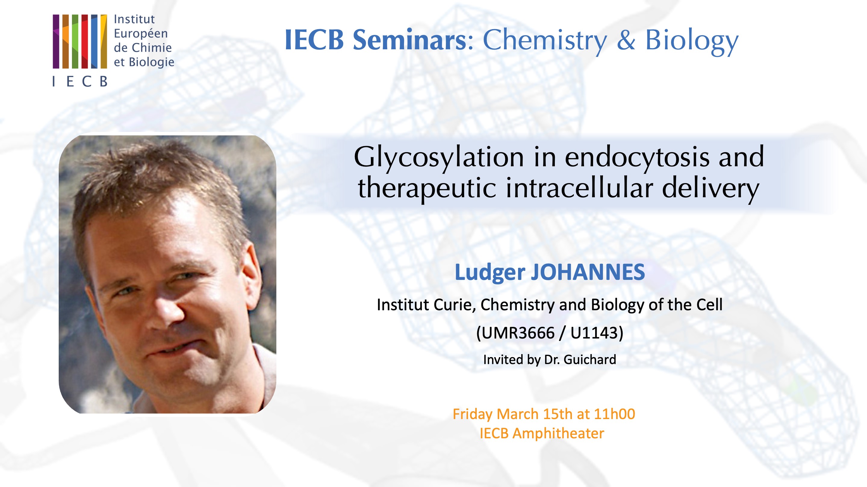 IECB Seminar Series : "Glycosylation in endocytosis and therapeutic intracellular delivery"  Ludger Johannes
