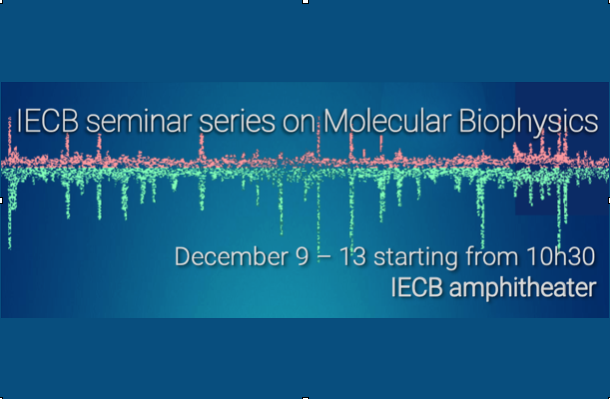 Série de séminaires de l'IECB sur la biophysique moléculaire : du 9 au 13 décembre