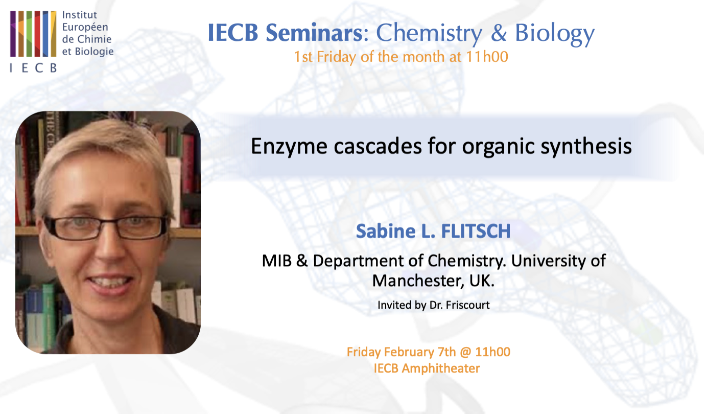 IECB Seminar Series: "Enzyme cascades for organic synthesis" Sabine L Flitsch