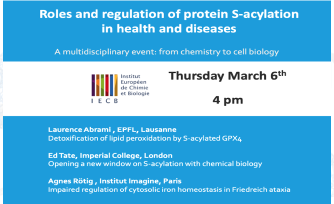 Séminaire « Rôles et régulation de la S-acylation des protéines dans la santé et les maladies » le 6 mars à 16h à l'IECB