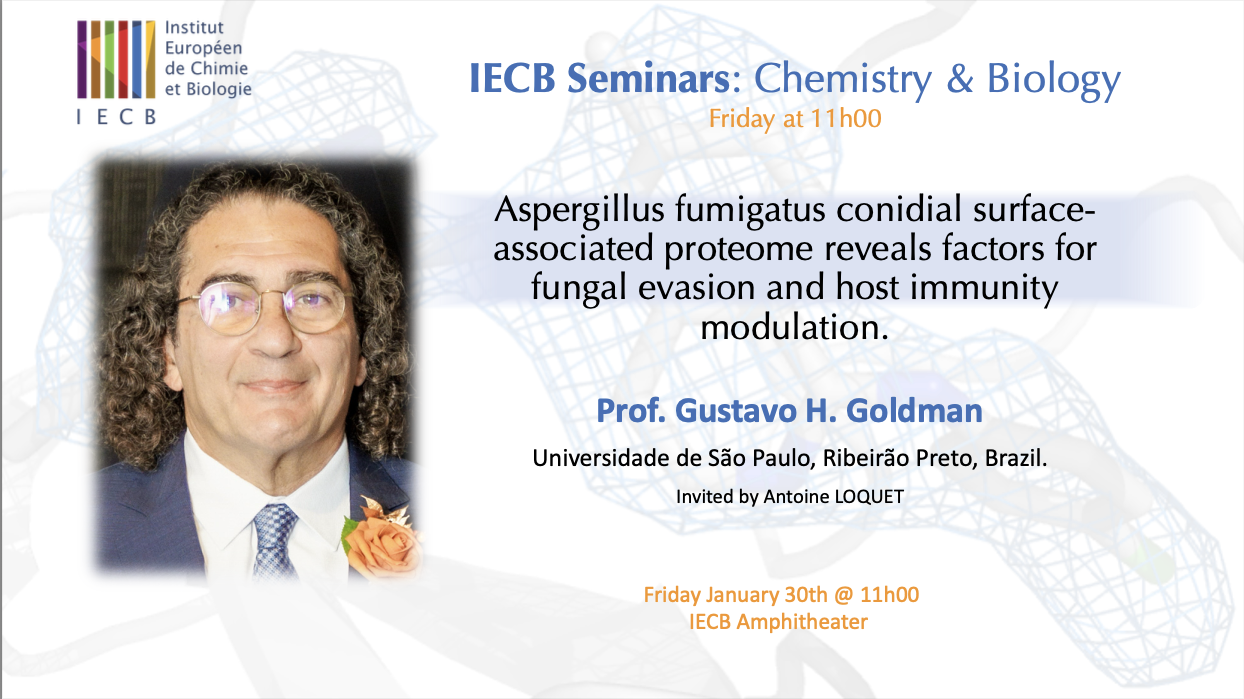 Séminaire IECB: "Aspergillus fumigatus conidial surface-associated proteome reveals factors for fungal evasion and host immunity modulation".