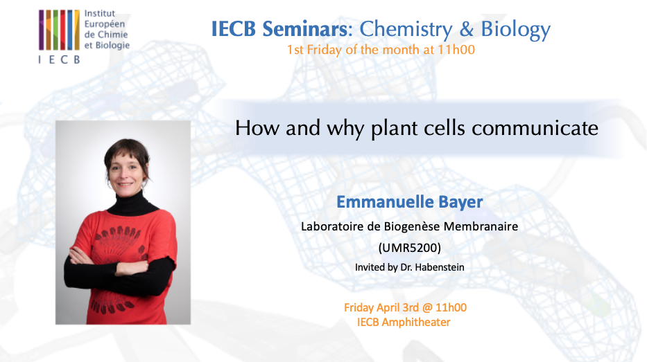 Séminaire IECB: "How and why plant cells communicate"
