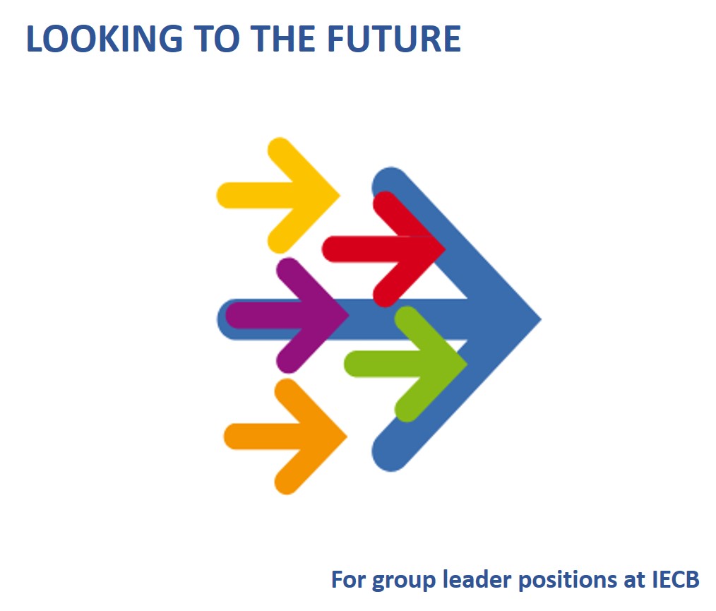 Back to the "Looking to the future" seminar